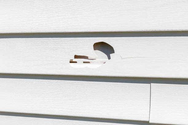 Best Custom Trim and Detailing for Siding  in , NY